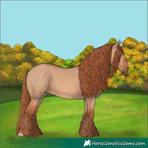 Horse Color:Red Dun