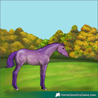 Horse Color:Watercolor Brown Dun 