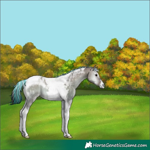 Horse Color:Platinum Painted Brown Onyx Tobiano 
