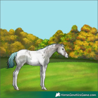 Horse Color:Platinum Painted Brown Onyx Tobiano 