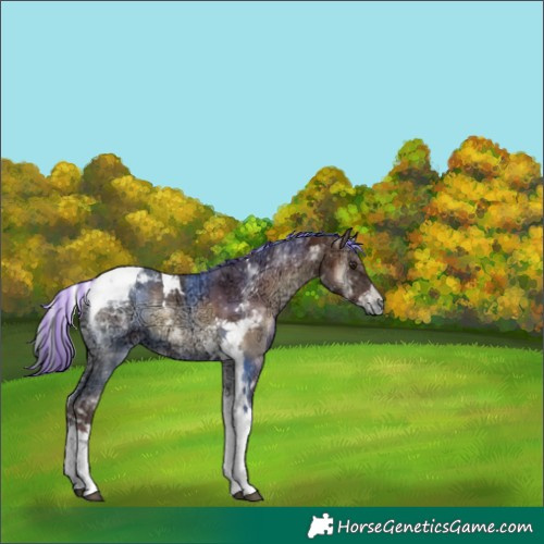 Horse Color:Painted Red Onyx Ice Tobiano 