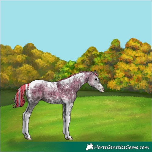 Horse Color:Painted Brown Ice Onyx Sabino Tobiano 