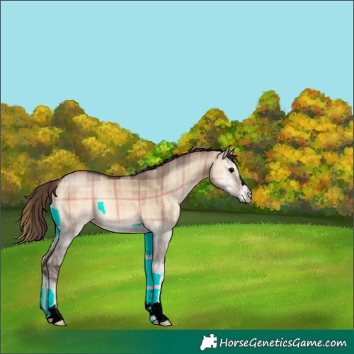 Horse Color:Plaid  Brown Onyx 