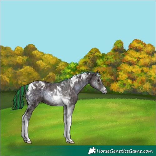 Horse Color:Painted Liver Red Onyx Ice Tobiano Rabicano 