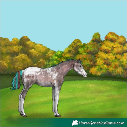 Horse Color:Platinum Painted Red Onyx Ice Tobiano Varnish 