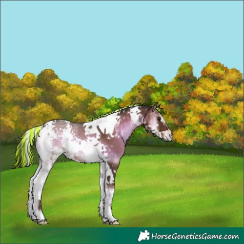 Horse Color:Painted Liver Red Onyx Tobiano 