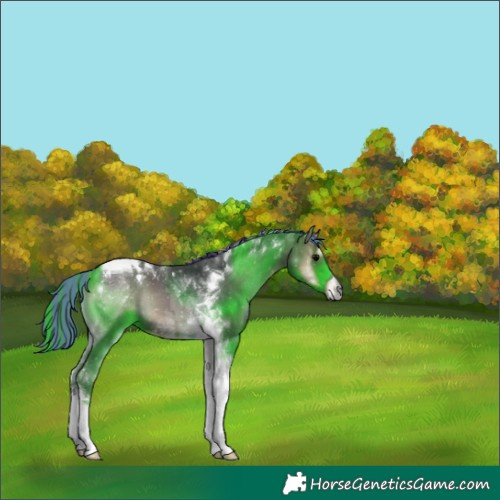 Horse Color:Painted Blue Onyx Tobiano 