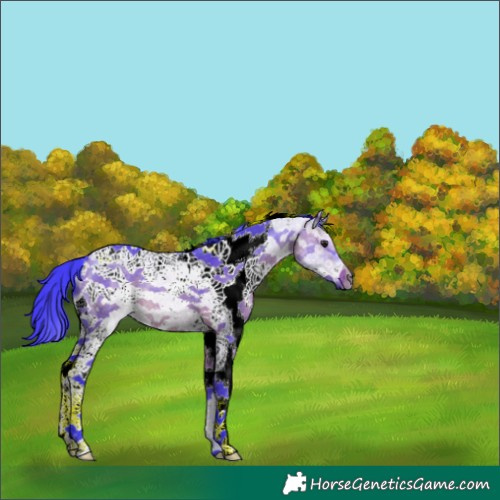Horse Color:Watercolor White Spotted Brown Dun Frame 