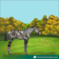 Horse Color:Plaid White Spotted Blue Onyx Ice