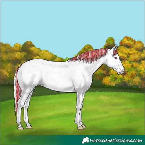 Horse Color:Painted Liver Red Onyx Chinchilla Tobiano 