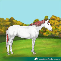 Horse Color:Painted Liver Red Onyx Chinchilla Tobiano 