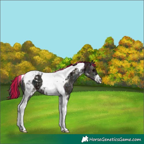 Horse Color:Painted Midnight Bay Ice Onyx Tobiano 
