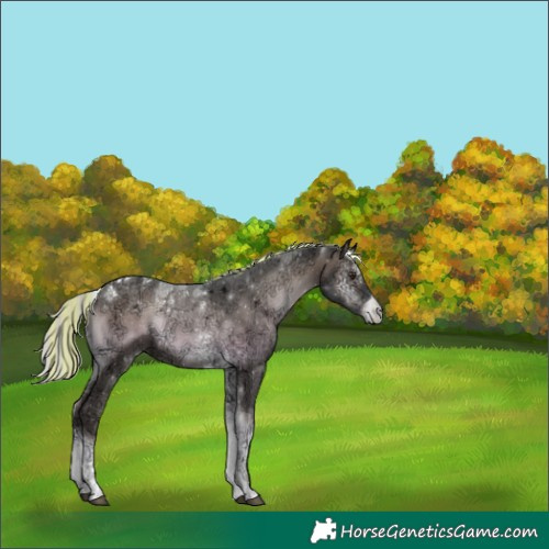 Horse Color:Platinum Painted Liver Red Onyx Ice Mushroom Tobiano 