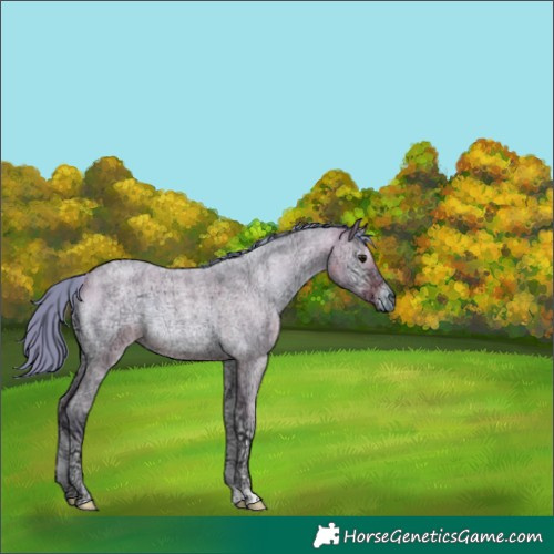Horse Color:Watercolor Bay Ice Roan Onyx 