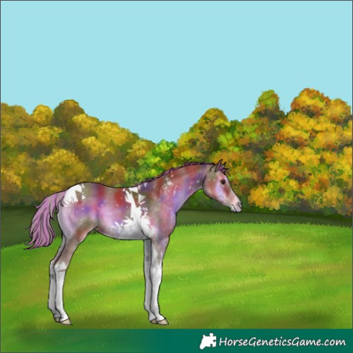 Horse Color:Painted Nacre Red Onyx Tobiano 