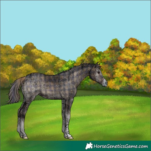 Horse Color:Plaid  Blue Onyx Ice 