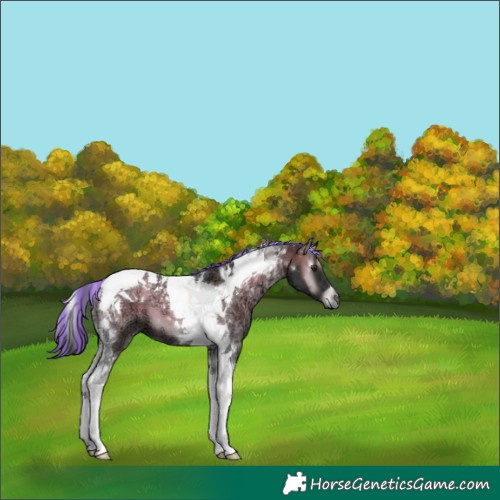 Horse Color:Gray Platinum Painted Liver Red Onyx Ice Tobiano 