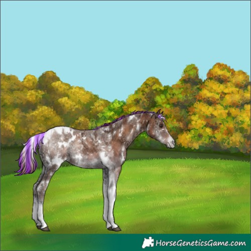 Horse Color:Painted White Spotted Red Onyx Ice Tobiano 