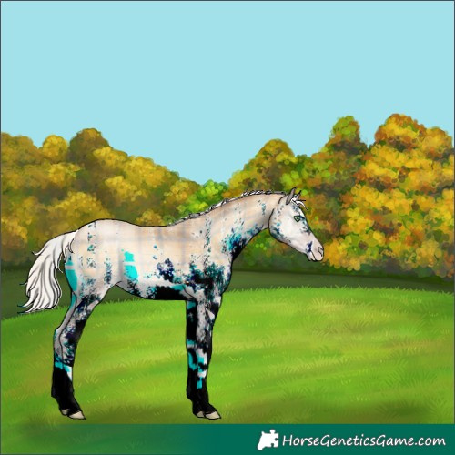 Horse Color:Plaid  White Spotted Silver Buckskin Pearl Onyx 