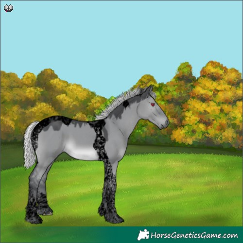 Horse Color:Void Silver Grullo Chinchilla Tobiano 