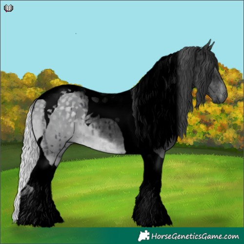 Horse Color:Void Silver Grullo Chinchilla Tobiano Brindle 