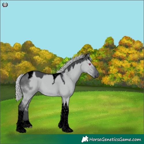 Horse Color:Void Silver Grullo Chinchilla Tobiano 