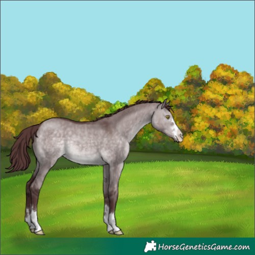 Horse Color:Platinum Chocolate Brown Dun 