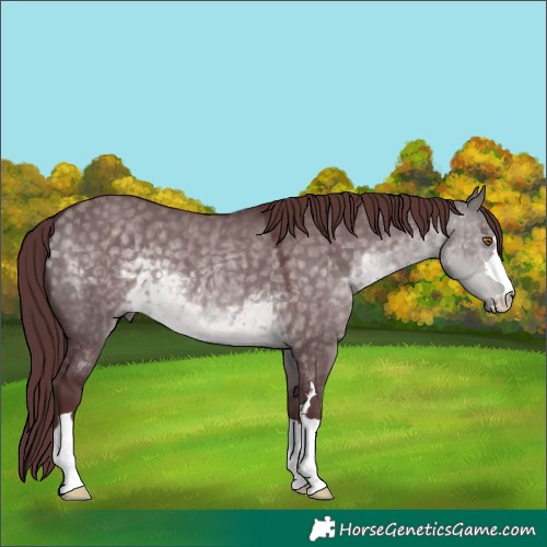 Horse Color:Platinum Chocolate Buckskin Dun 