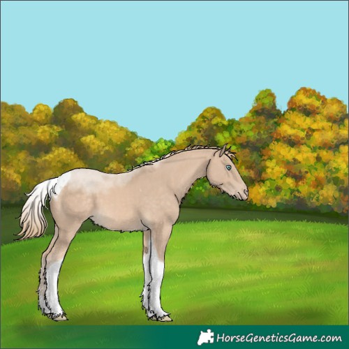 Horse Color:Perlino Tobiano 