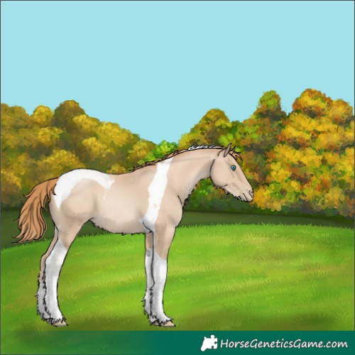 Horse Color:Smoky Black Pearl Tobiano 