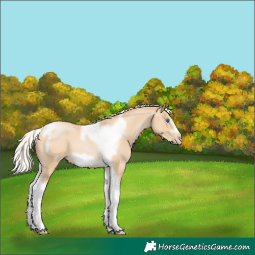 Horse Color:Silver Smoky Black Pearl Tobiano Frame 