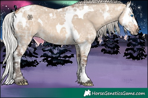 Horse Color:Silver Brown Ice Dun Splash Tobiano