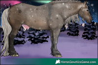 Horse Color:Gray Silver Brown Dun 