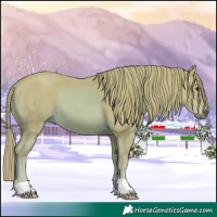 Horse Color:Watercolor Chestnut 