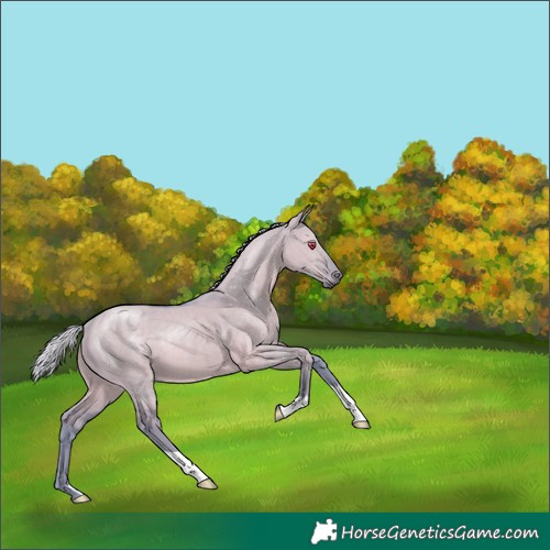 Horse Color:Watercolor Silver Grullo Chinchilla