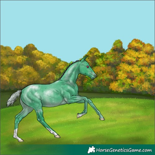 Horse Color:Watercolor Silver Brown Chinchilla 