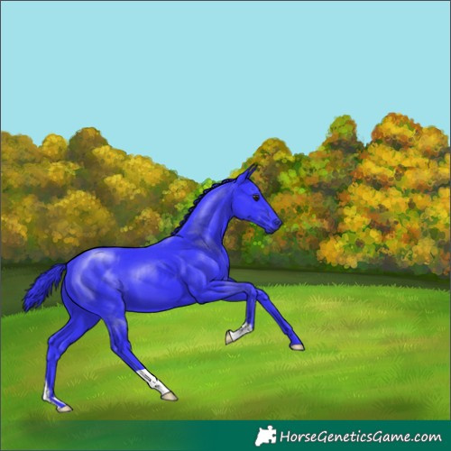 Horse Color:Watercolor Black Chinchilla 