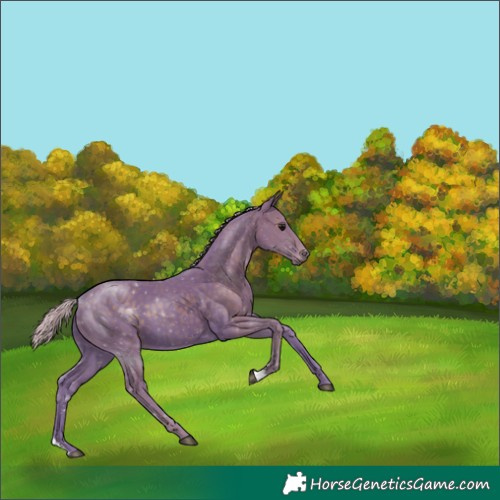 Horse Color:Watercolor Silver Smoky Black 