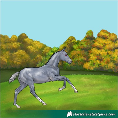 Horse Color:Watercolor Silver Brown Chinchilla 