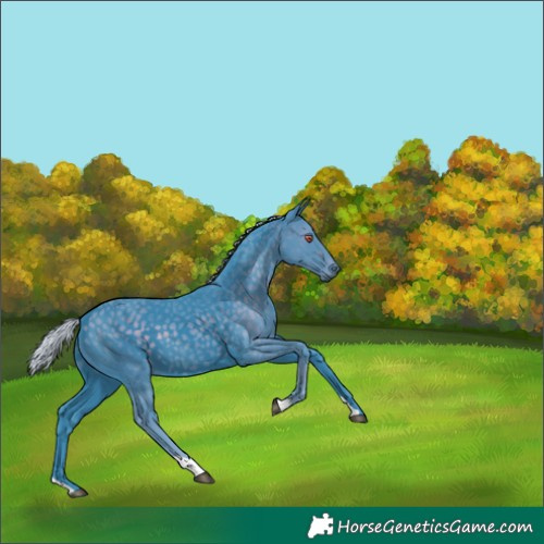 Horse Color:Watercolor Silver Smoky Black Chinchilla 