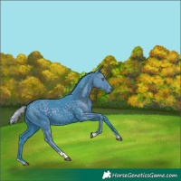 Horse Color:Watercolor Silver Smoky Black Chinchilla 