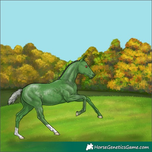 Horse Color:Watercolor Silver Black Chinchilla 