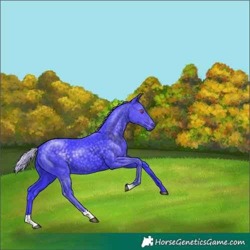 Horse Color:Watercolor Silver Smoky Black Chinchilla 