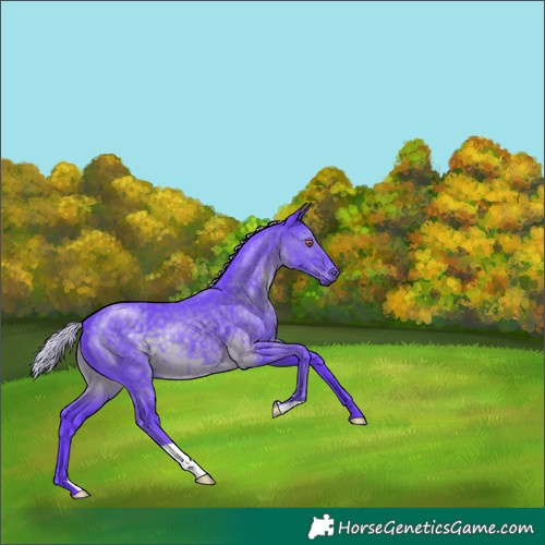 Horse Color:Watercolor Silver Black Chinchilla 