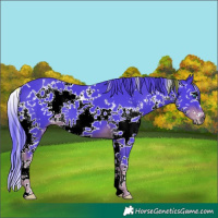 Horse Color:Watercolor White Spotted Liver Chestnut Splash