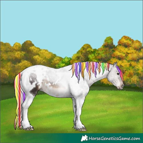 Horse Color:Painted White Spotted Silver Brown Tobiano 