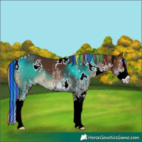 Horse Color:Painted White Spotted Brown Splash