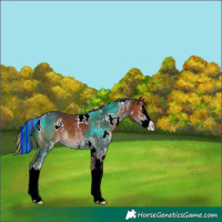 Horse Color:Painted White Spotted Brown Splash