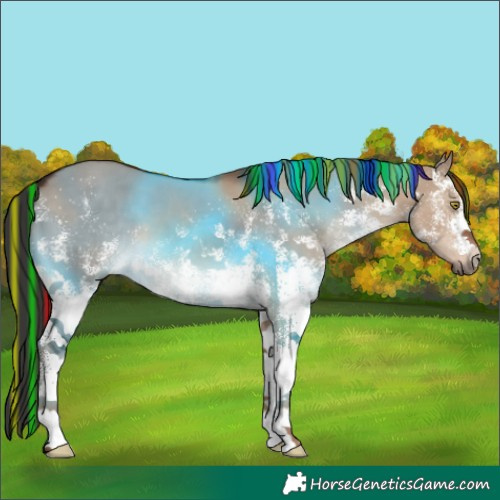 Horse Color:Painted White Spotted Liver Red Dun 