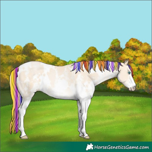 Horse Color:Painted White Spotted Brown Snowdrop Pearl Dun 
